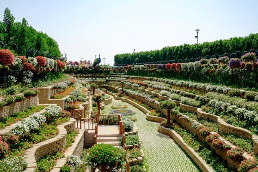 Miracle Garden Dubai Tickets