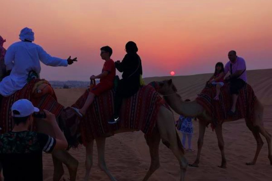 Evening Desert Safari with Camel Ride