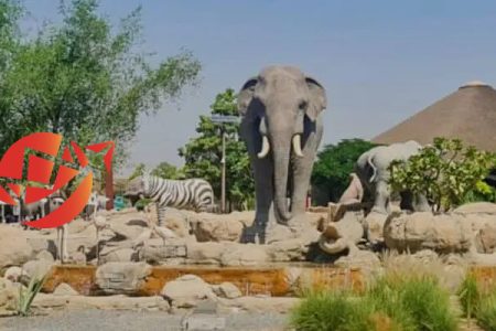 Dubai Safari Park: A Gateway to Exotic Wildlife Adventures